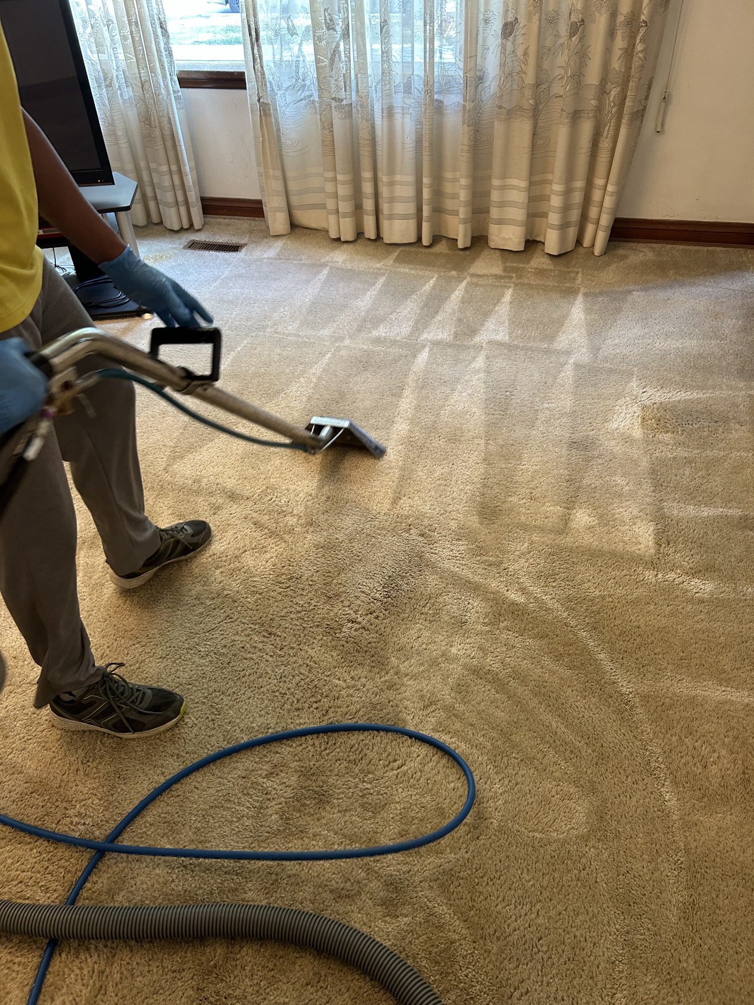 professional upholstery cleaning winnipeg